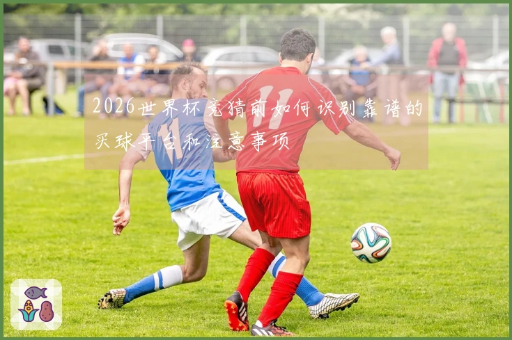 2026世界杯竞猜前如何识别靠谱的买球平台和注意事项